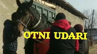 TULPOR OT.VAJOHATI AJDARDEK !!!