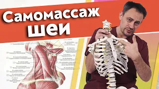 Как правильно делать самомассаж шеи? | Массаж шейного отдела самостоятельно