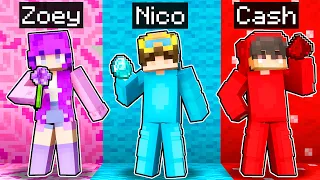 Only Using ONE COLOR In Minecraft!