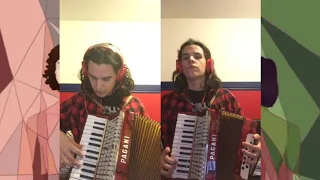 Somebody I Used To Know  [accordion cover]