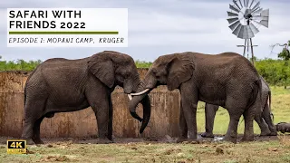Mopani Camp Kruger Park | Safari with Friends 2022 | Episode 1