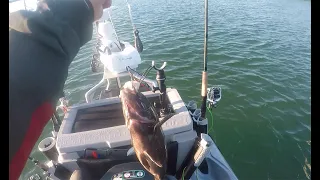 Jetski tautog fishing.