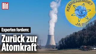 Atomkraft als Alternative: Strompreis 2022 so teuer wie nie | Energie-Krise