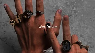 Wet Dream - Harry Styles (cover) lyrics