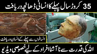 Archaeologists Have Discovered The Oldest Human Fossil Ever Found in sitrus caves | Urdu Cover