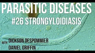 Parasitic Diseases Lectures #26: Strongyloidiasis