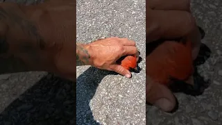 SAVED Cardinals LIFE! Extremely FUNNY Ending! 🤣