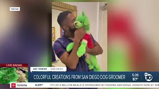 Colorful creations from San Diego dog groomer