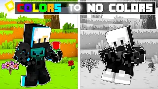 Our COLORS Are GONE In Minecraft (Hindi)