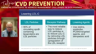 Talking CVD Prevention: Emerging Strategies to Address Management Challenges in Dyslipidemia