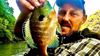 Panfish! Catch clean cook! Bluegill, Shellcrackers, & Crappie!