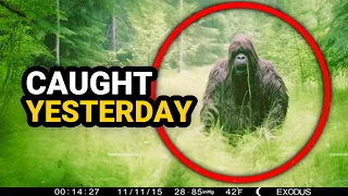 Mega Compilation of Most Horrific Trail Cam Footage.