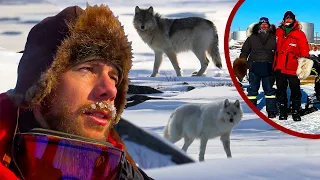 The Wolves Found Us - 1500 KM ARCTIC EXPEDITION [Part 4 - FINAL]