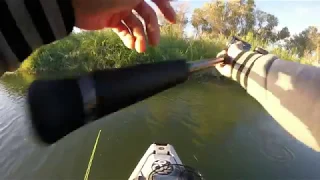 Practice skipping and casting soft swimbait - working class zero citizen with a bit of fly fishing