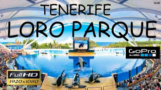 Canarian Islands Tenerife Loro Parque