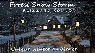 Snow Storm Ambient at cottage in forest | 3 Hours blizzard sounds with wind noise