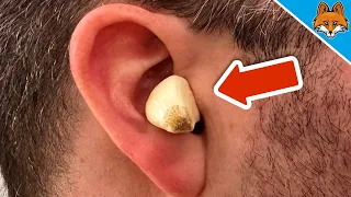 DESHALB solltest du dir Knoblauch ins OHR stecken 💥 (GENIALER Trick) 🤯