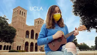 UCLA - I Lava You Cover