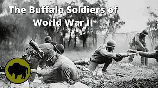 The Buffalo Soldiers of WWII - The Story of the 92nd Infantry's Heroic Efforts in Europe During WWII