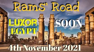 Rams' Road| Luxor |Egypt| Next November