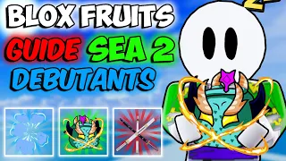 BLOX FRUITS GUIDE SEA 2 POUR DEBUTANTS !