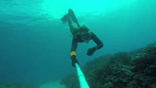 Bentinho Massaro begins freediving