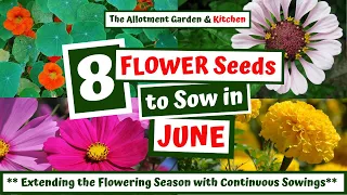 Which Flower Seeds to Sow in June - (inc. Great Pollinators for Your Vegetable Garden!) #82