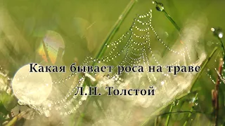 Лев Николаевич Толстой. Рассказ "Какая бывает роса на траве".