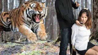 Men Kidnap the Little Girl, But They Never Expected A Tiger Came and Saved Her!