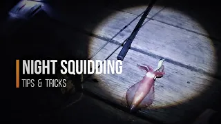 Night Squidding [Tips & Tricks]