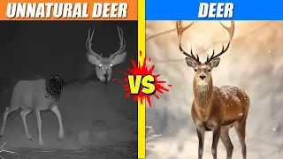 Unnatural Deer vs Deer | SPORE