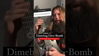 Pantera Dimebag Darrell Dive-bomb