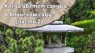 Экскурсия: Японский сад Главного Ботанического сада РАН в Москве (часть 2) @Studio.Bonsai