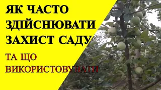 Періодичність захисних обробок яблуневого саду в літній період