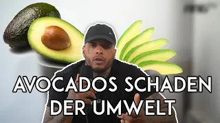 WARUM ICH KEINE AVOCADOS ESSE! EURE FRAGEN AN COACH A4!!!