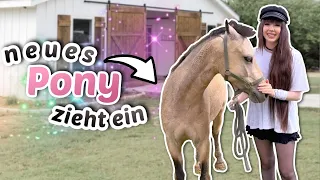 Willkommen! Ein neues Pony kommt auf den Rosenhof 🌹 | ViktoriaSarina