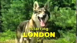 The Littlest Hobo Theme