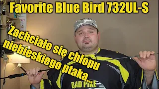 Favorite Blue Bird czyli... Po co komu kontrola jakości?