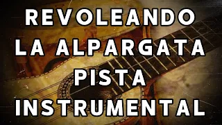 Revoleando la alpargata (GATO) Carlos Lallana (PISTA INSTRUMENTAL #65)