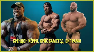 Крис Бамстед vs Брион Энсли, Биг Рами и Брендон Кёрри - апдейт форм