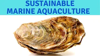 Sustainable Mariculture Best Marine Aquaculture for California