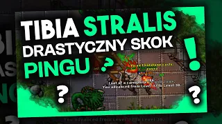 TIBIA STRALIS - DRASTYCZNY SKOK PINGU I SPADEK LICZBY GRACZY.