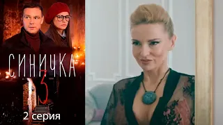 Синичка 3 - Серия 2 детектив (2020)