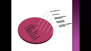 Лекция: Внутренняя и внешняя среда организация