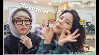 Solar & moonbyul being SUS on Solarsido Live | Highlight