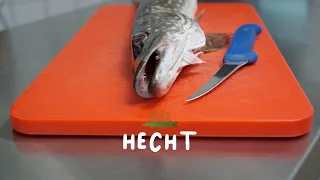 Hecht | Filetieren XXL | Fisch und Grips