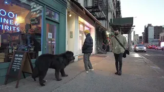 New York 2022 |Evening Rush Hour New York City Lower Manhattan Walking Tour--Canal St (JAN 18, TUE)