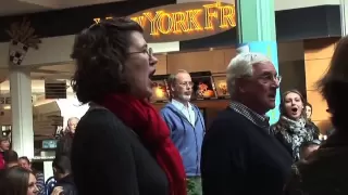 Christmas Food Court Flash Mob with Hallelujah Chorus of G.F. Handel