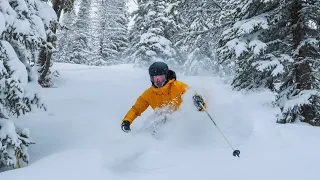 Powder Skiing at Lake Louise Ski Resort