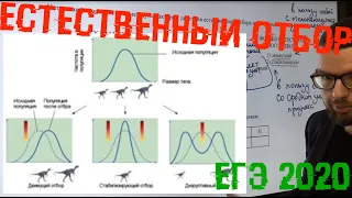 Естественный отбор в ЕГЭ